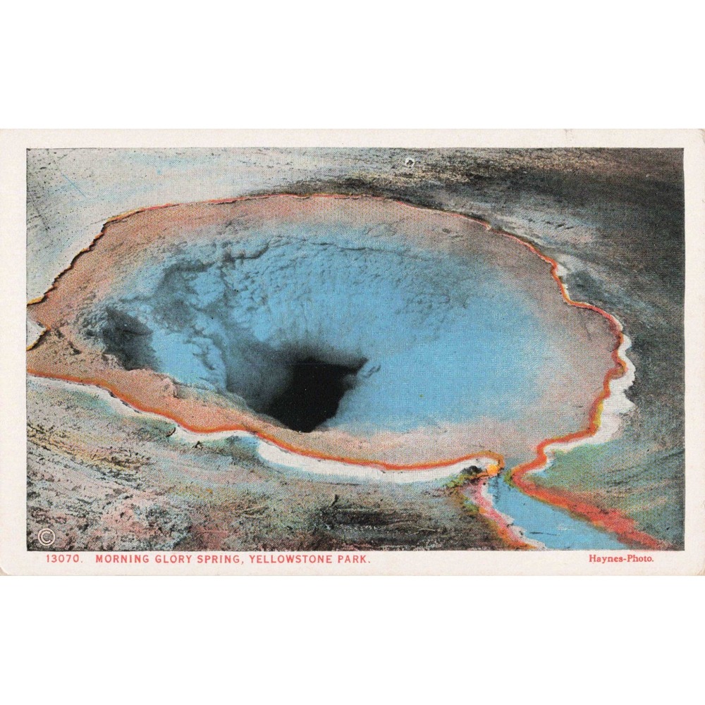 Vtg Morning Glory Spring Yellowstone Park Postcard Haynes Photo 13070 VG+ - Picture 1 of 2